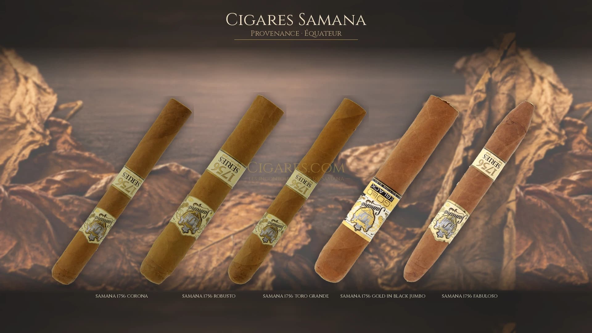 Top cigares Samana Equateur — les plus populaires