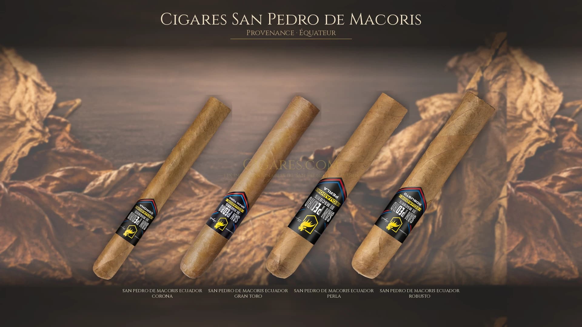 Top cigares San Pedro de Macoris Equateur — les plus populaires