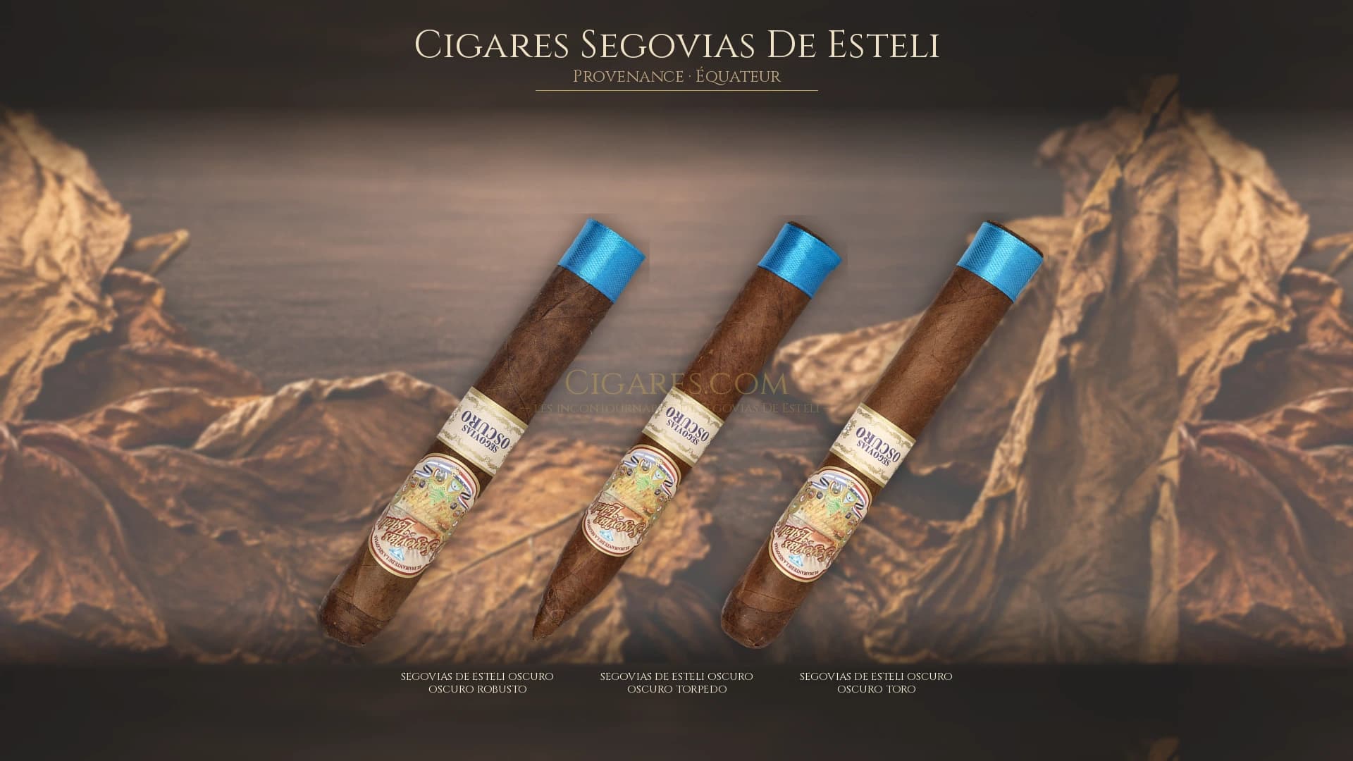 Top cigares Segovias De Esteli Equateur — les plus populaires