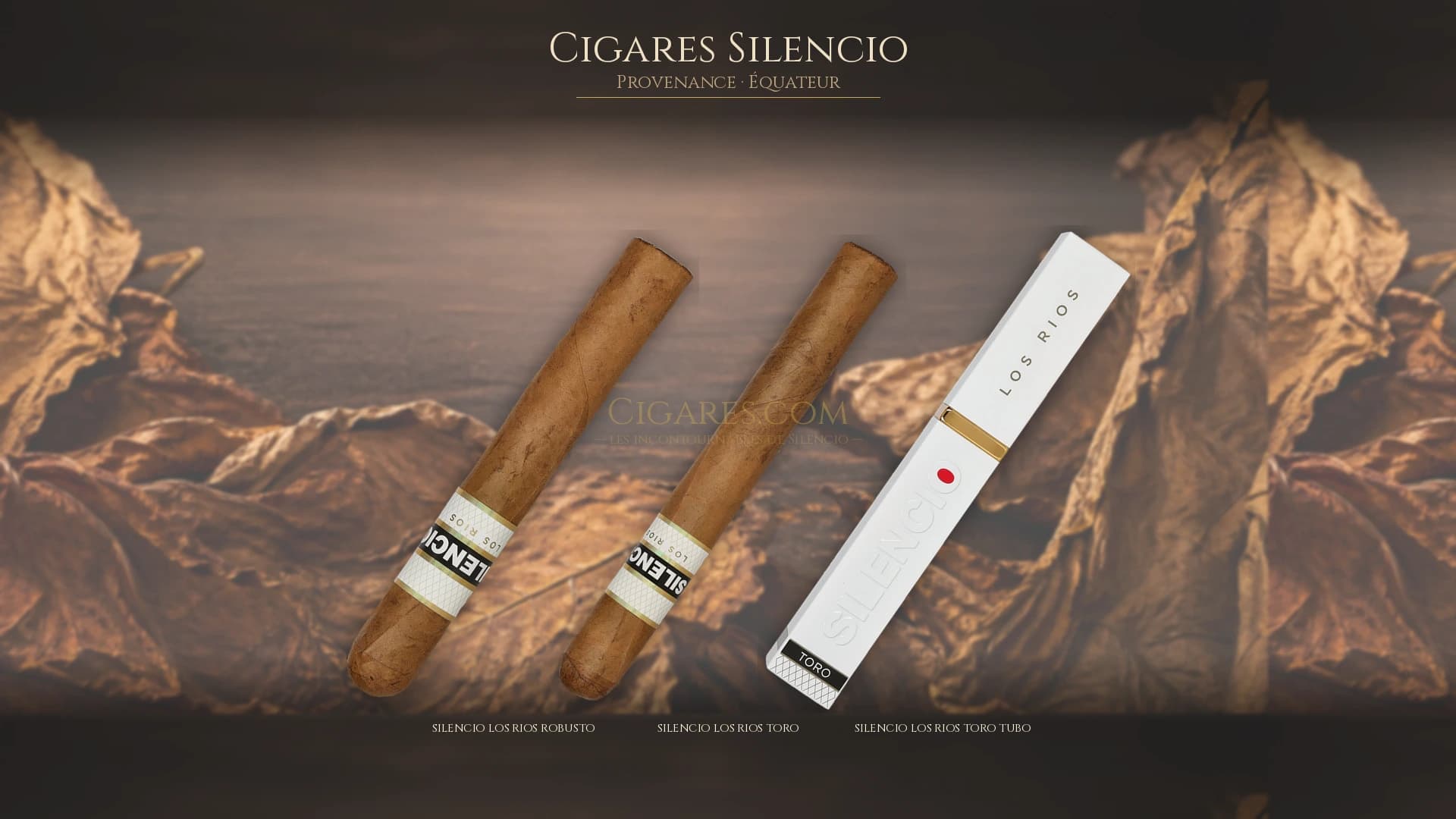 Top cigares Silencio Equateur — les plus populaires