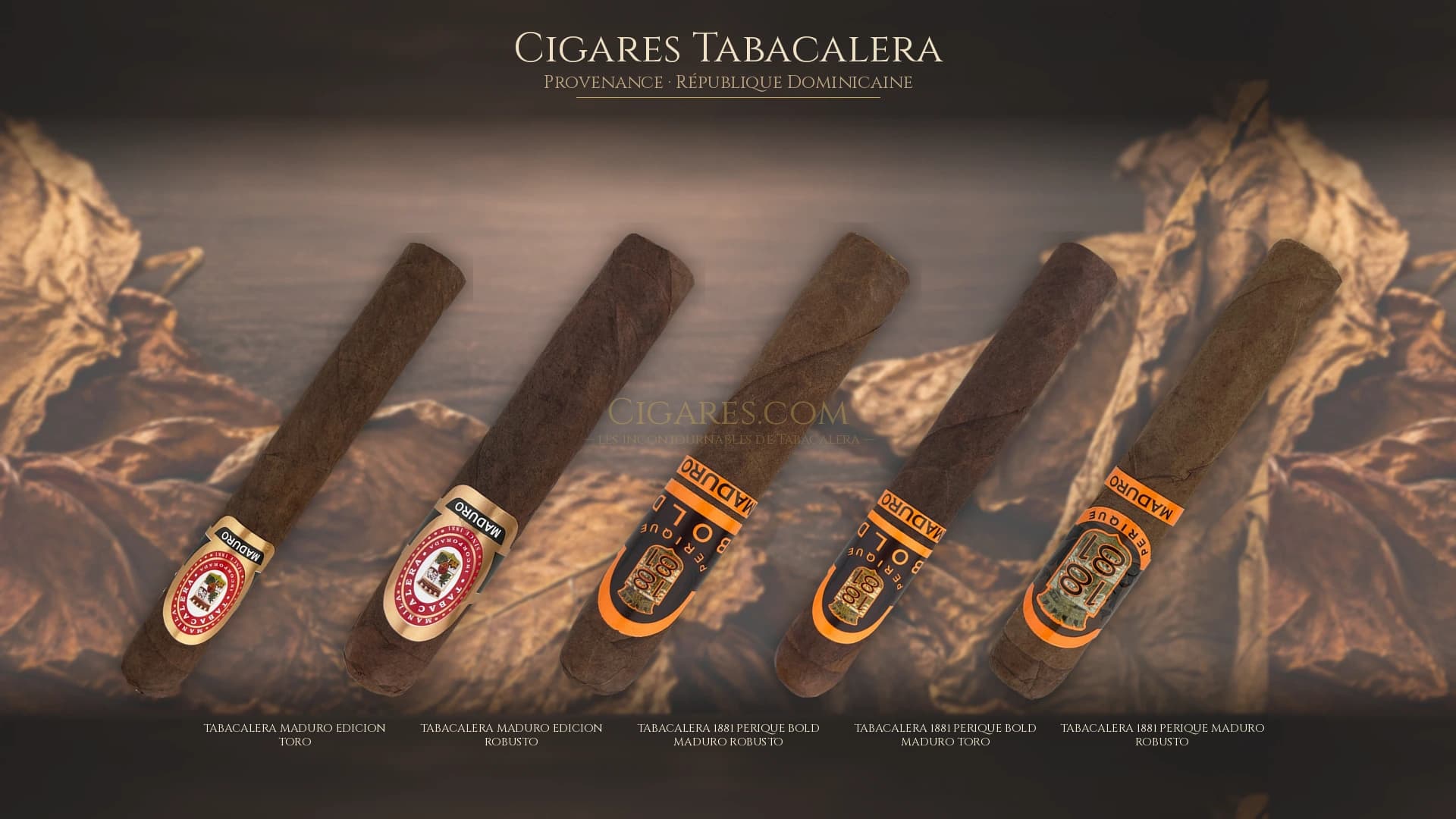 Top cigares Tabacalera Republique Dominicaine — les plus populaires