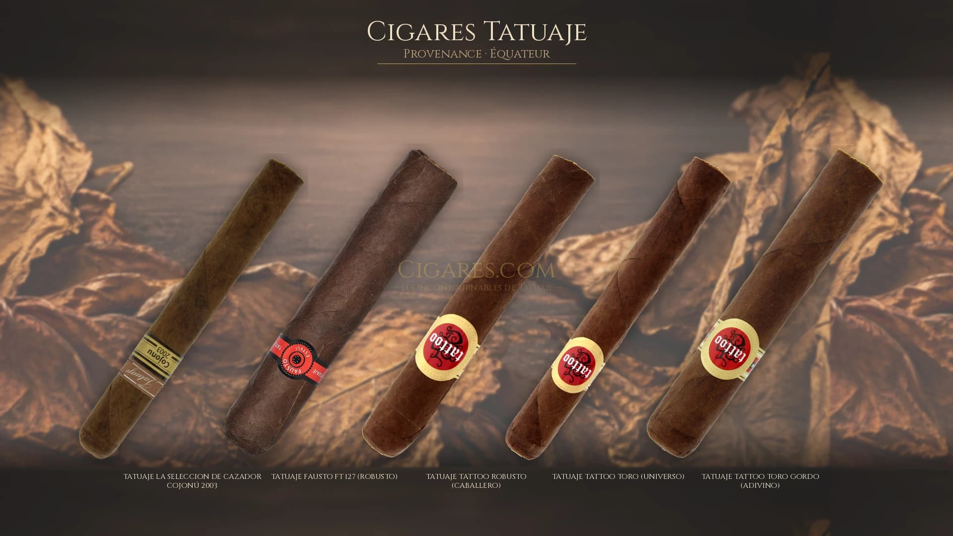 Top cigares Tatuaje Equateur — les plus populaires