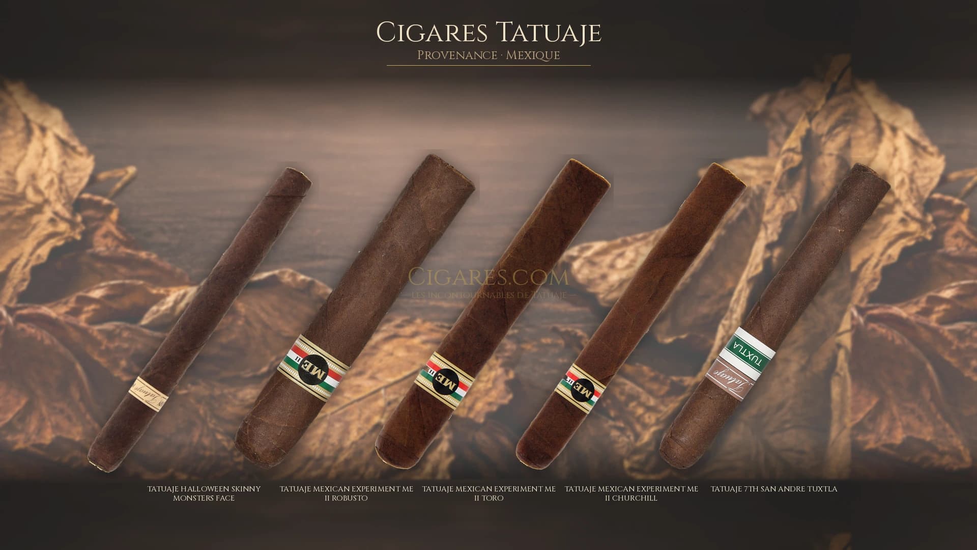 Top cigares Tatuaje Mexique — les plus populaires