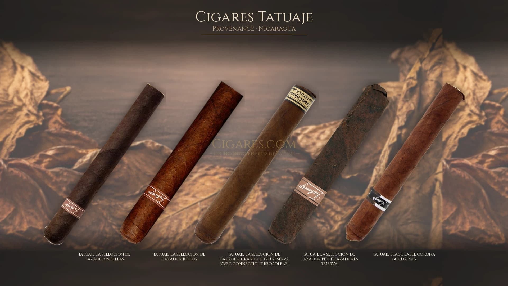 Top cigares Tatuaje Nicaragua — les plus populaires