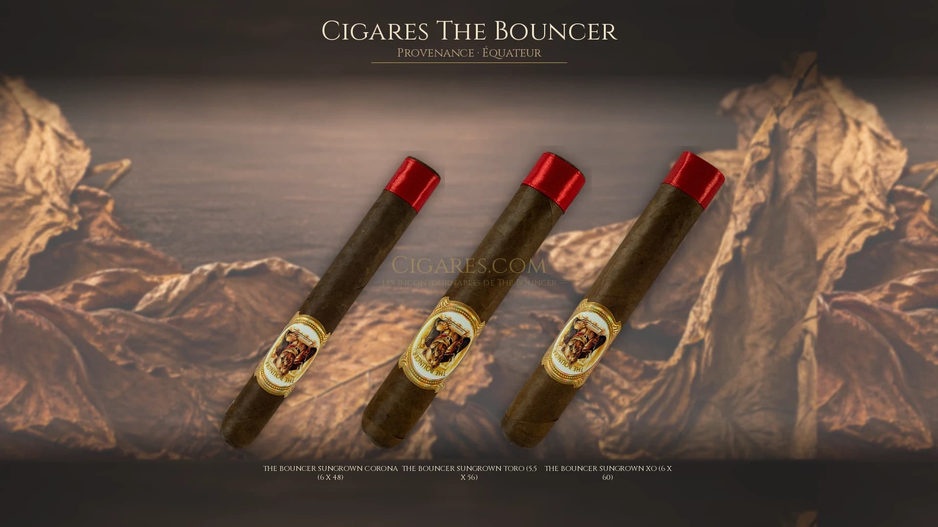 Top cigares The Bouncer Equateur — les plus populaires