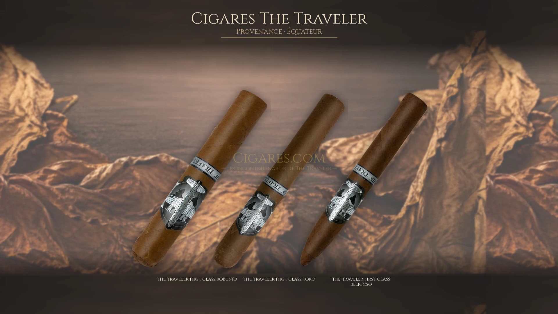 Top cigares The Traveler Equateur — les plus populaires