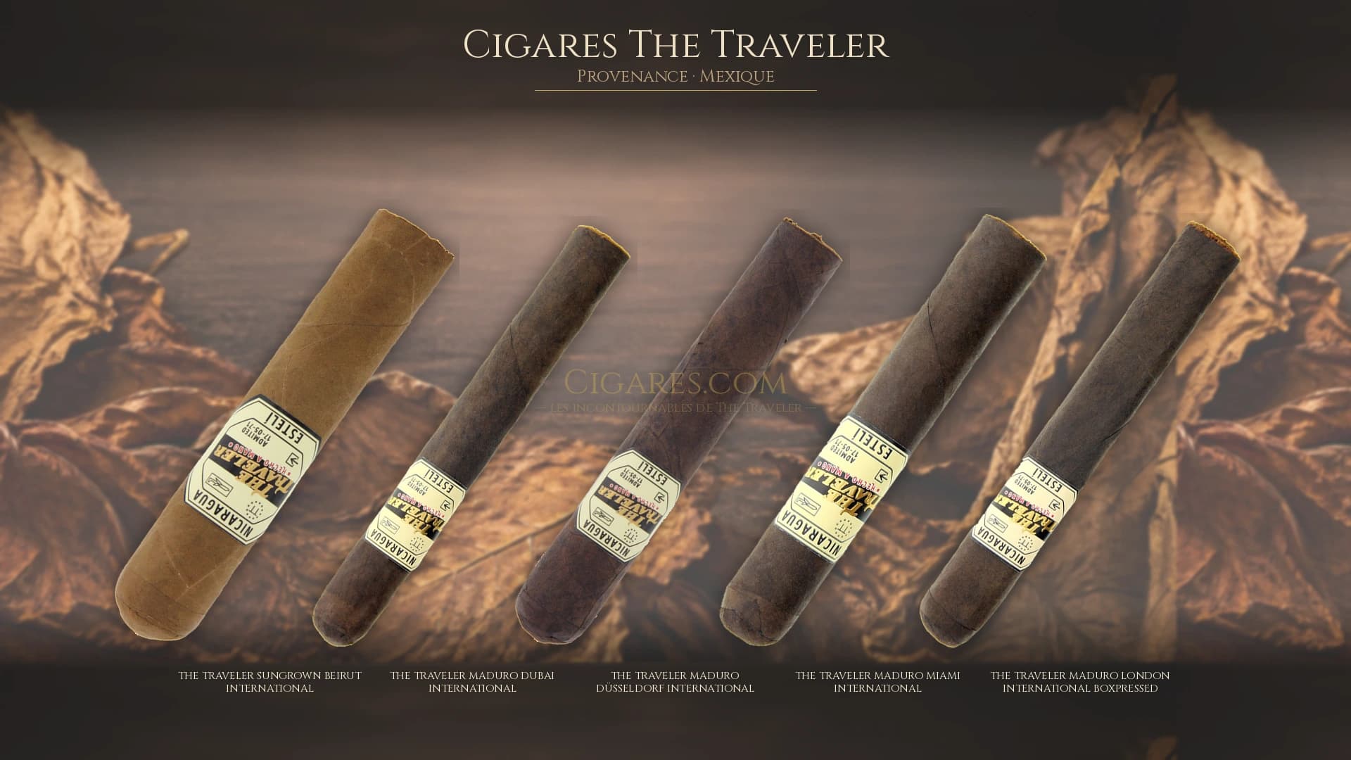 Top cigares The Traveler Mexique — les plus populaires