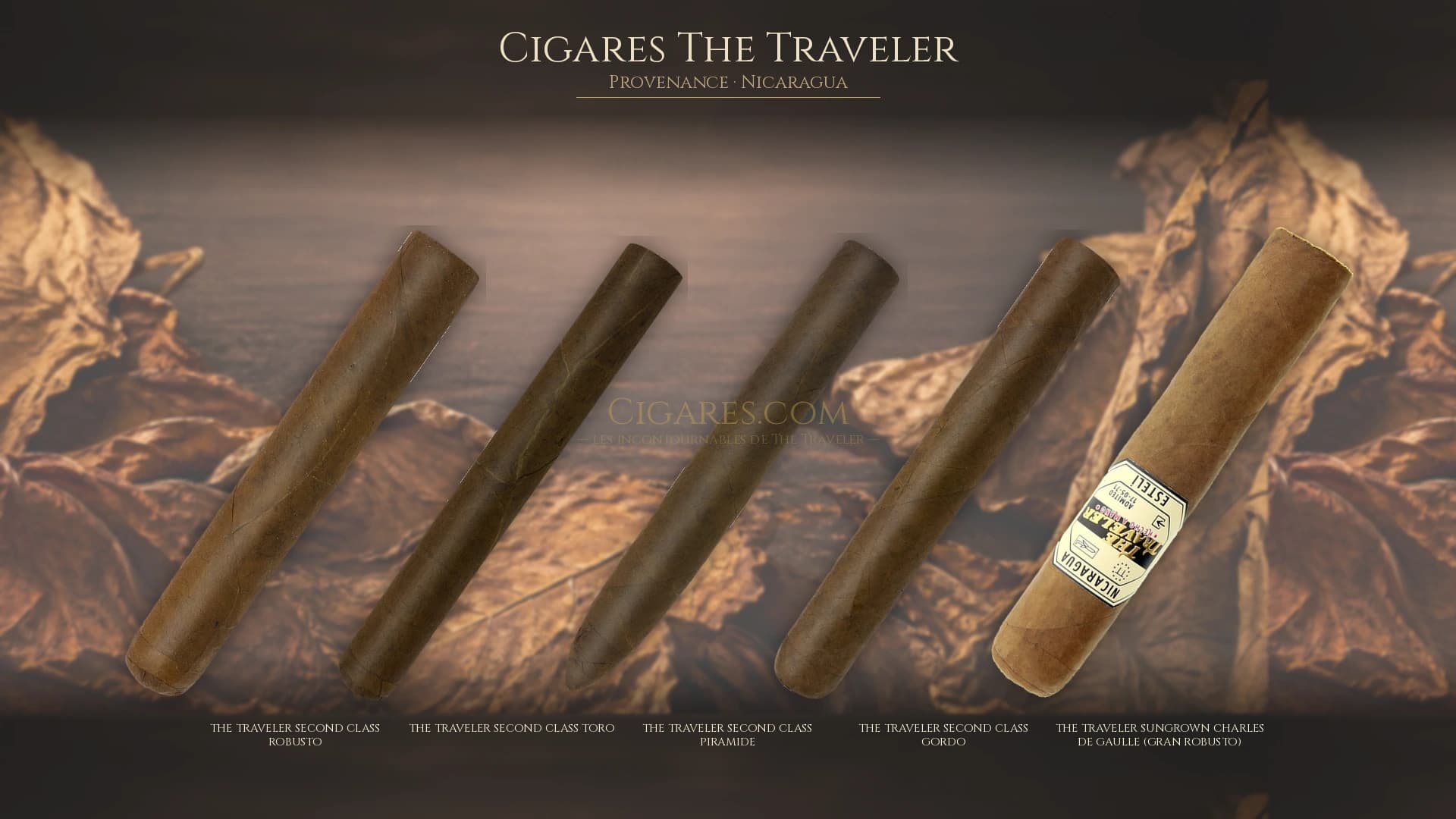 Top cigares The Traveler Nicaragua — les plus populaires