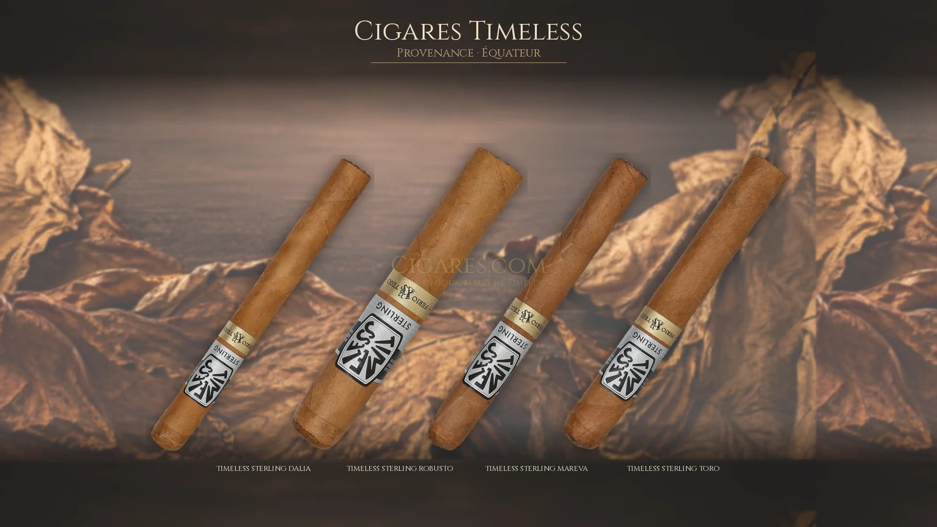 Top cigares Timeless Equateur — les plus populaires