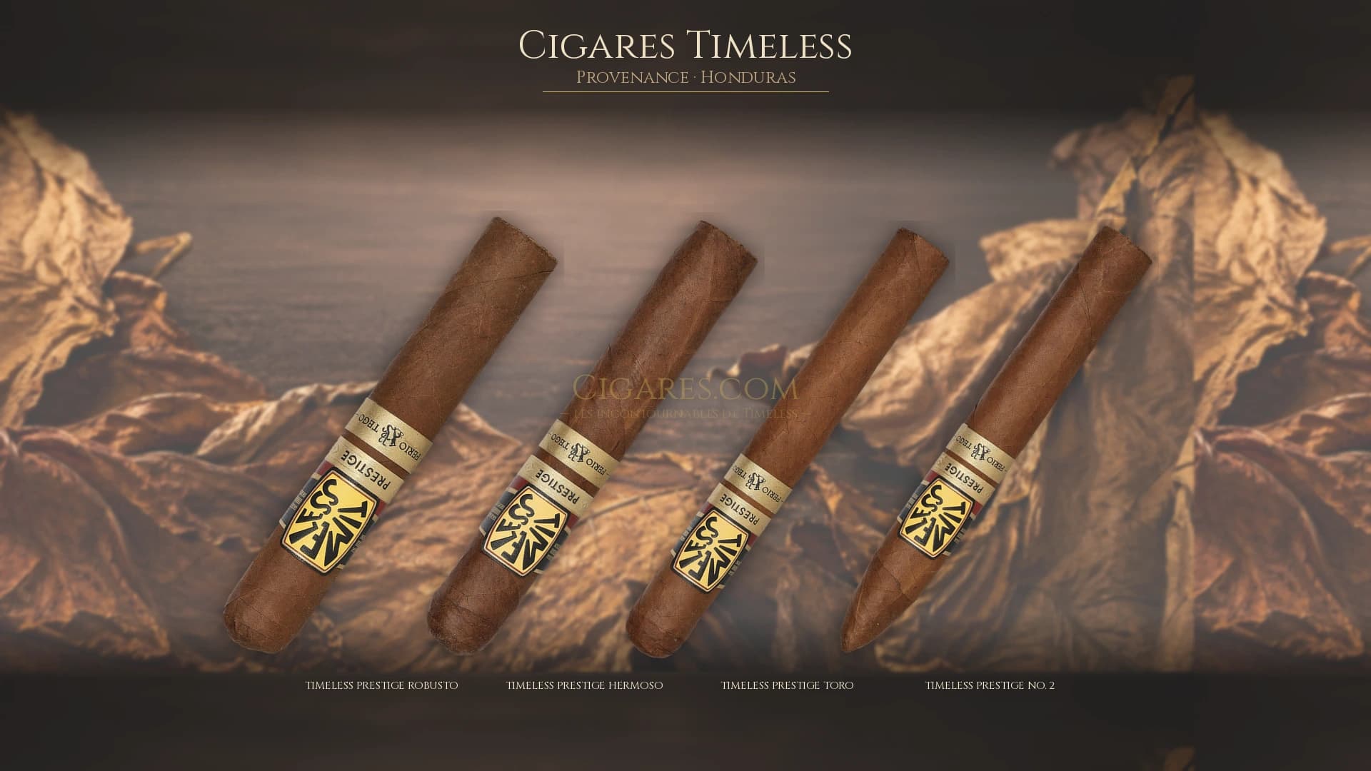 Top cigares Timeless Honduras — les plus populaires