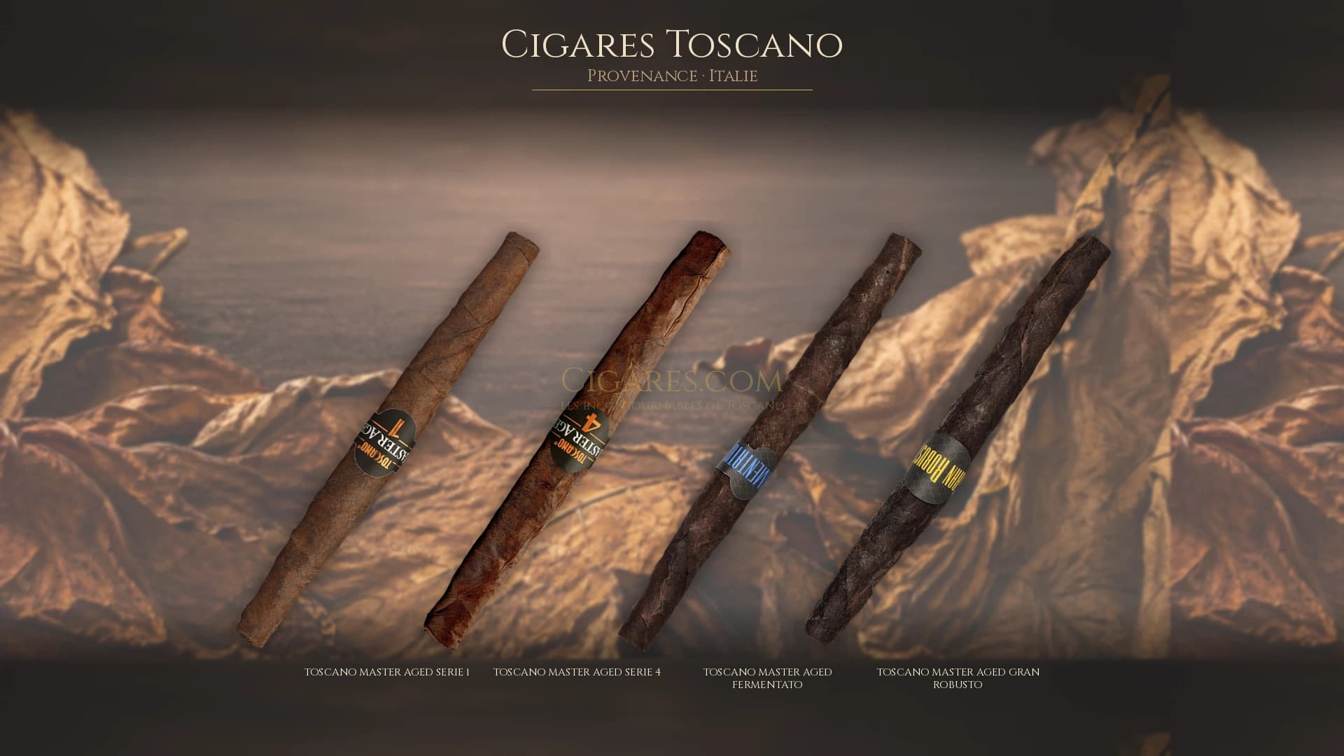 Top cigares Toscano Italie — les plus populaires