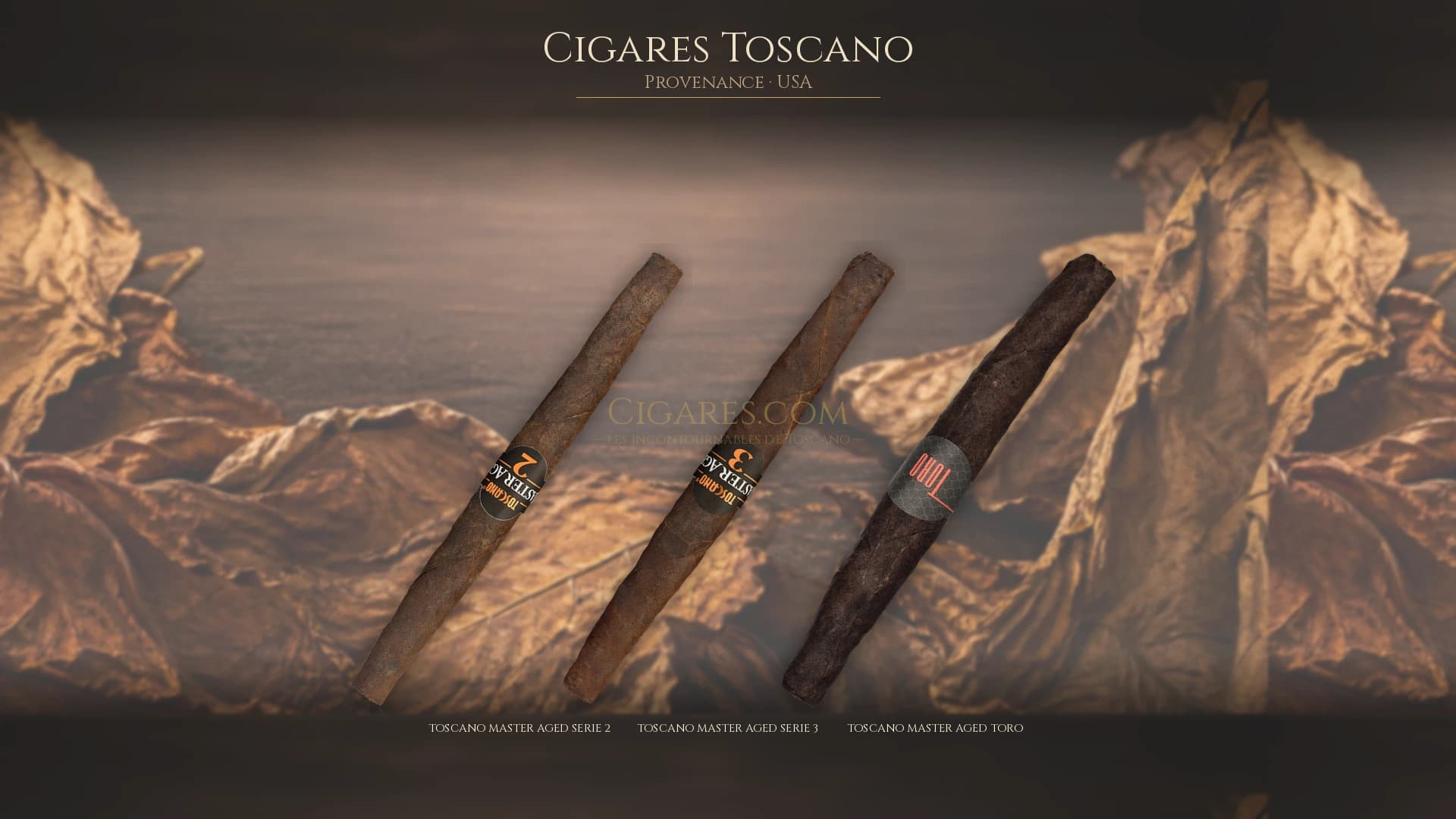 Top cigares Toscano Usa — les plus populaires