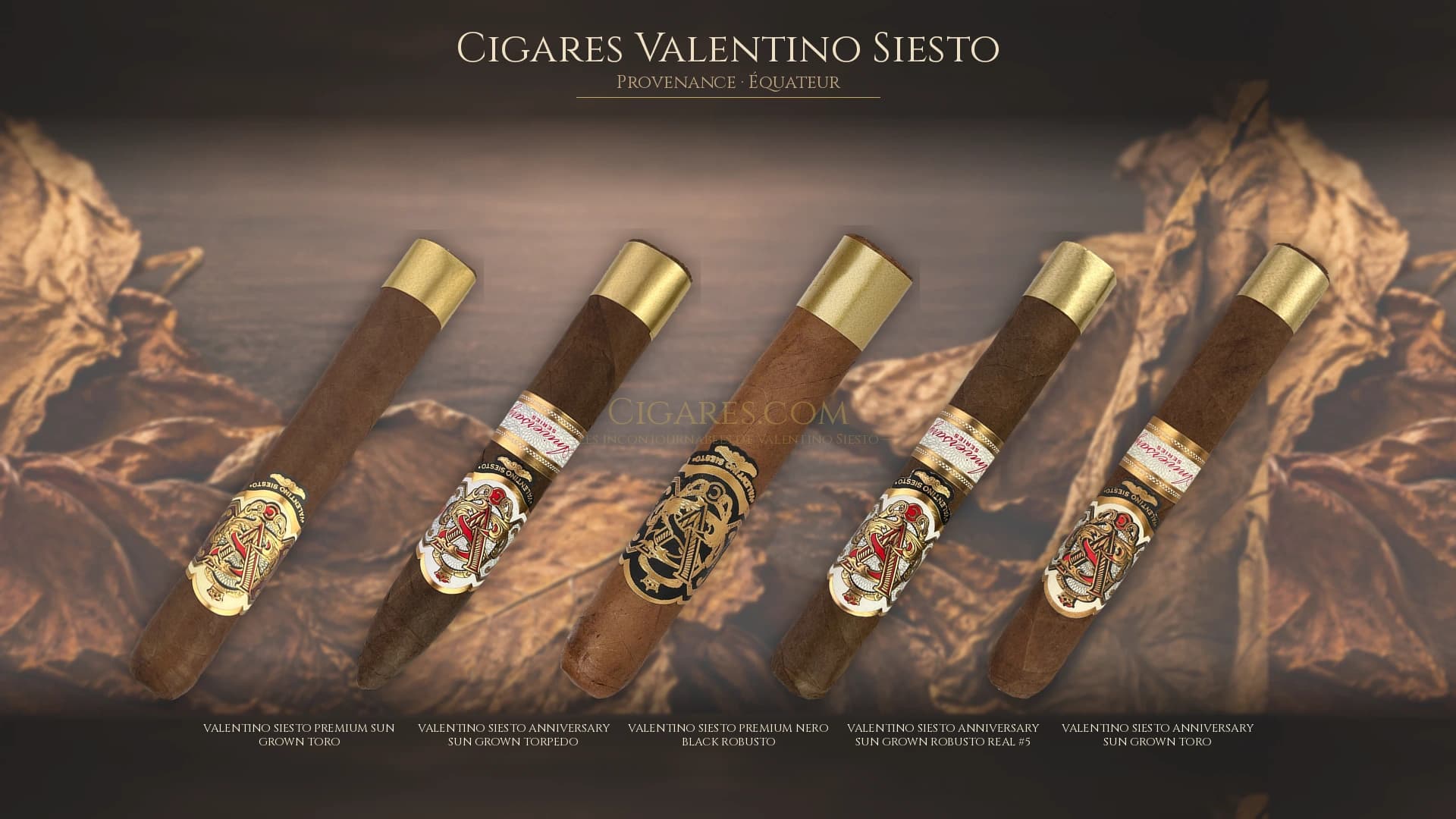 Top cigares Valentino Siesto Equateur — les plus populaires