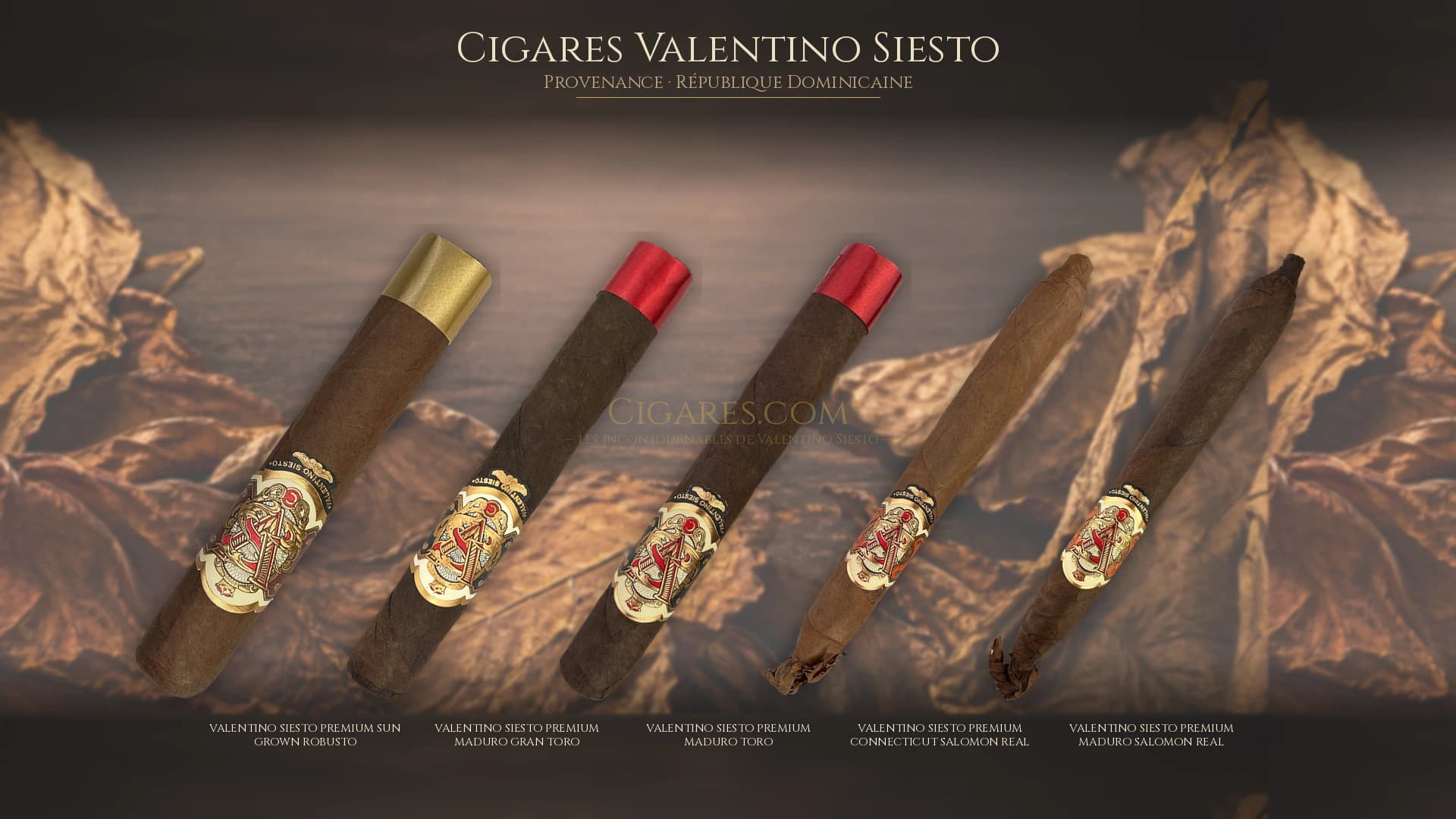 Top cigares Valentino Siesto Republique Dominicaine — les plus populaires
