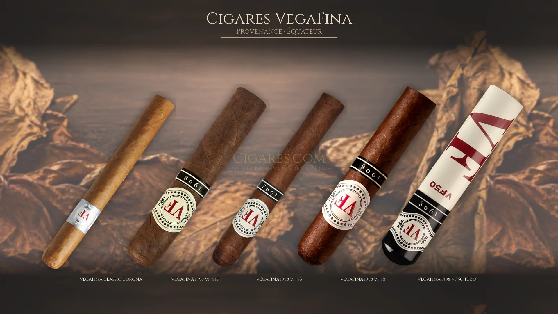 Top cigares VegaFina Equateur — les plus populaires
