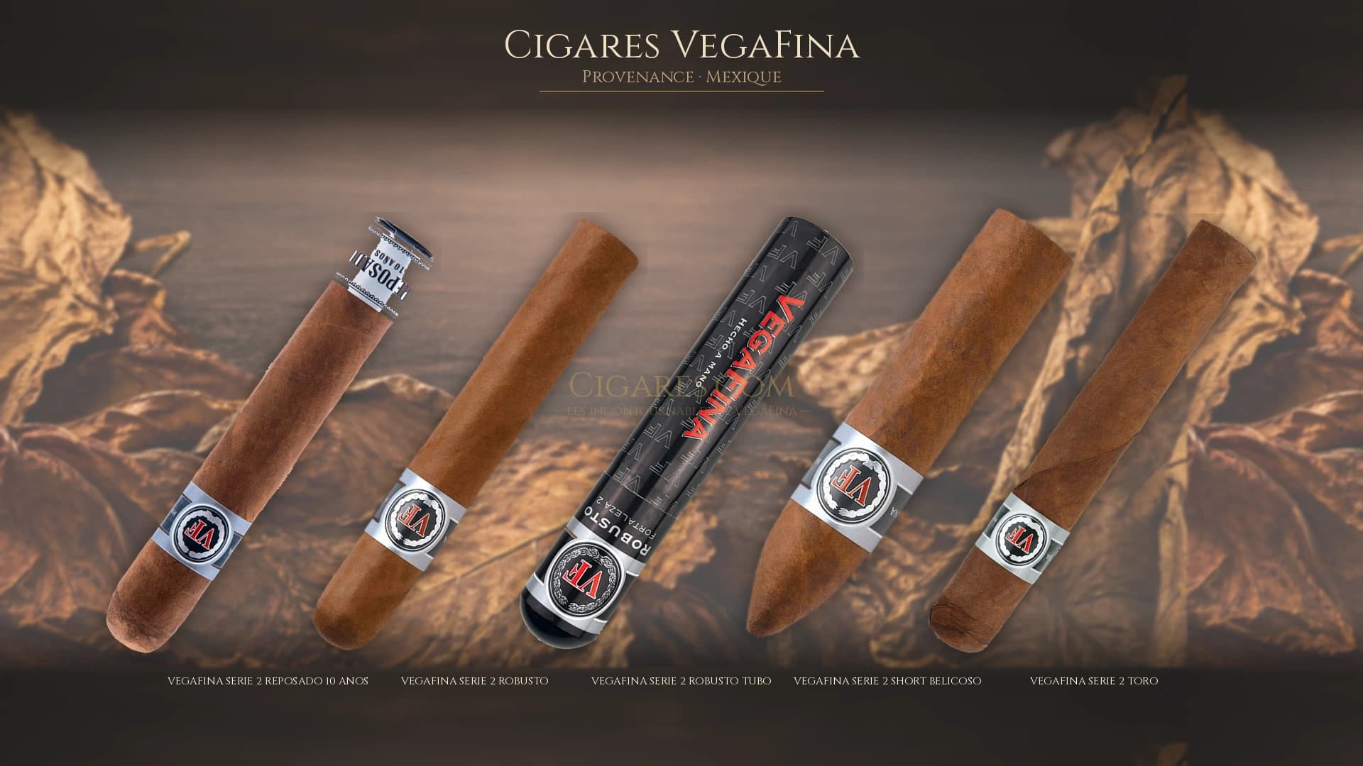 Top cigares VegaFina Mexique — les plus populaires