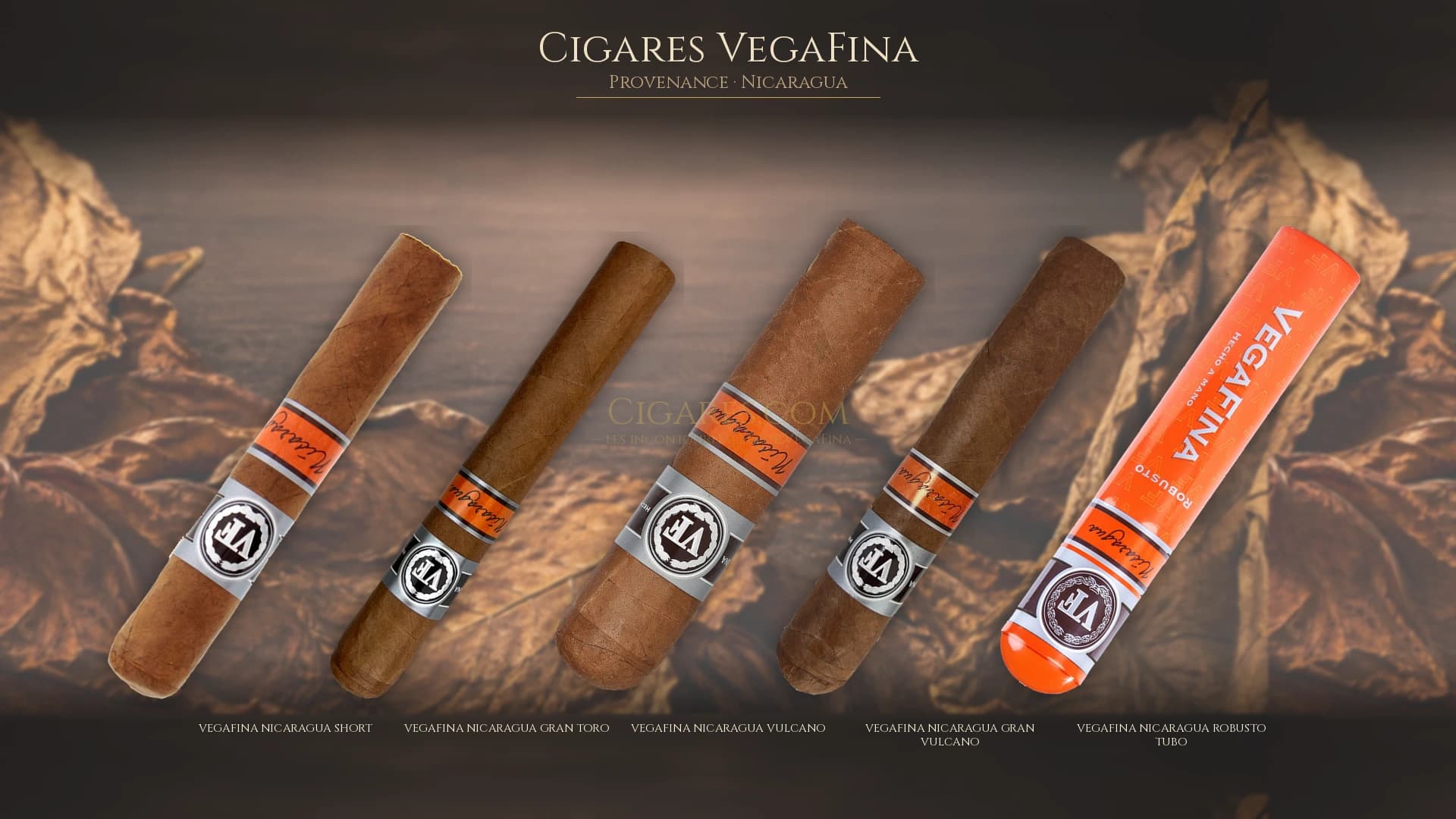 Top cigares VegaFina Nicaragua — les plus populaires