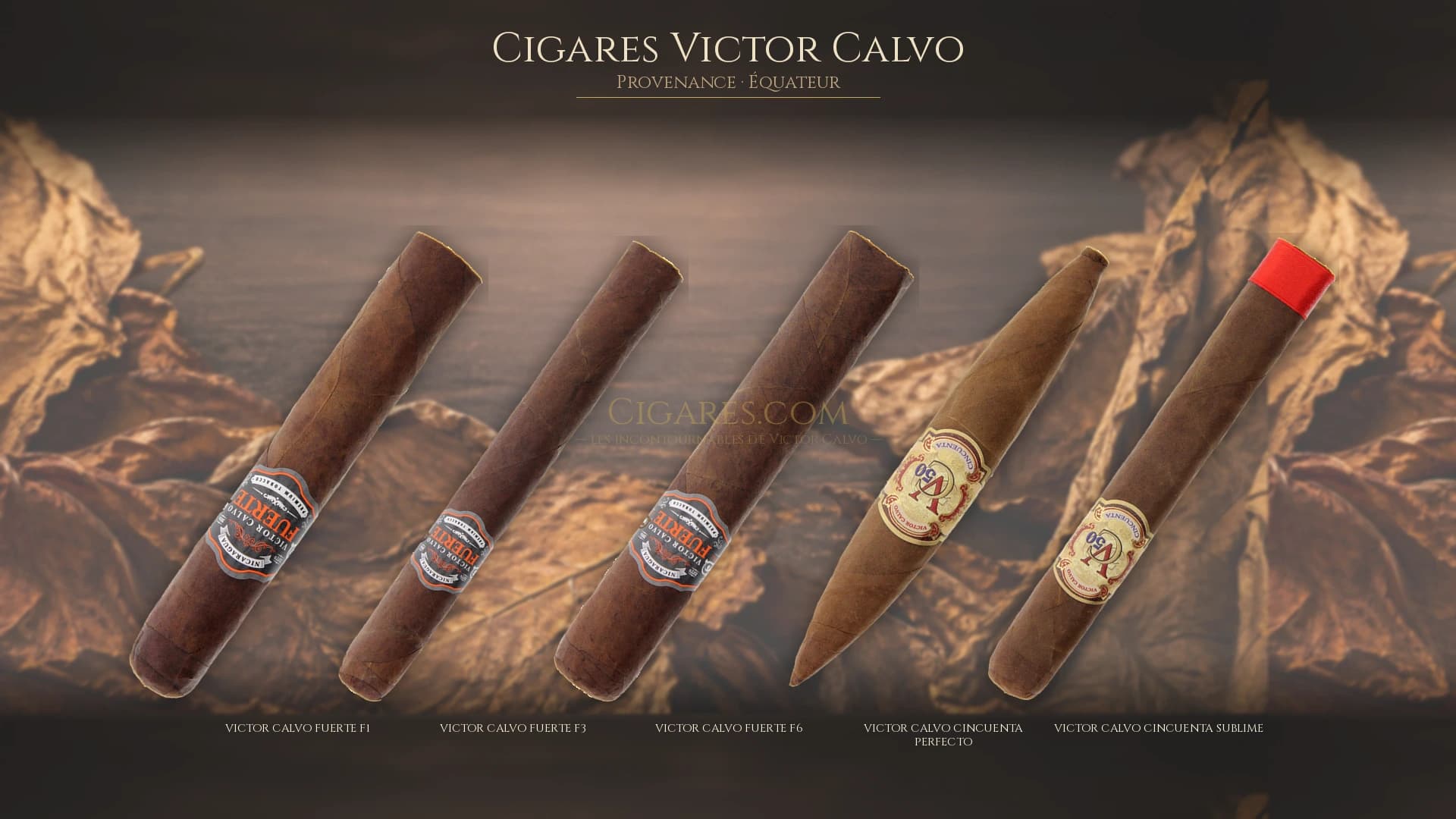 Top cigares Victor Calvo Equateur — les plus populaires