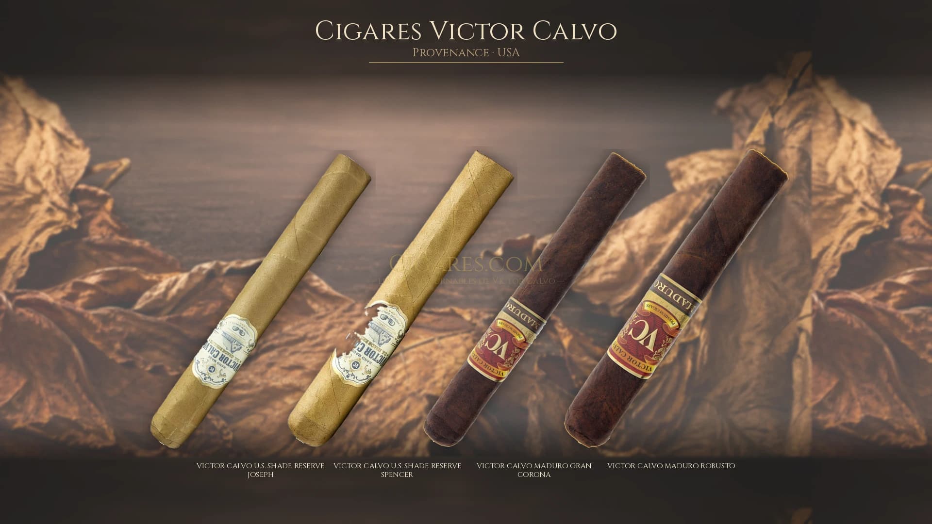 Top cigares Victor Calvo Usa — les plus populaires