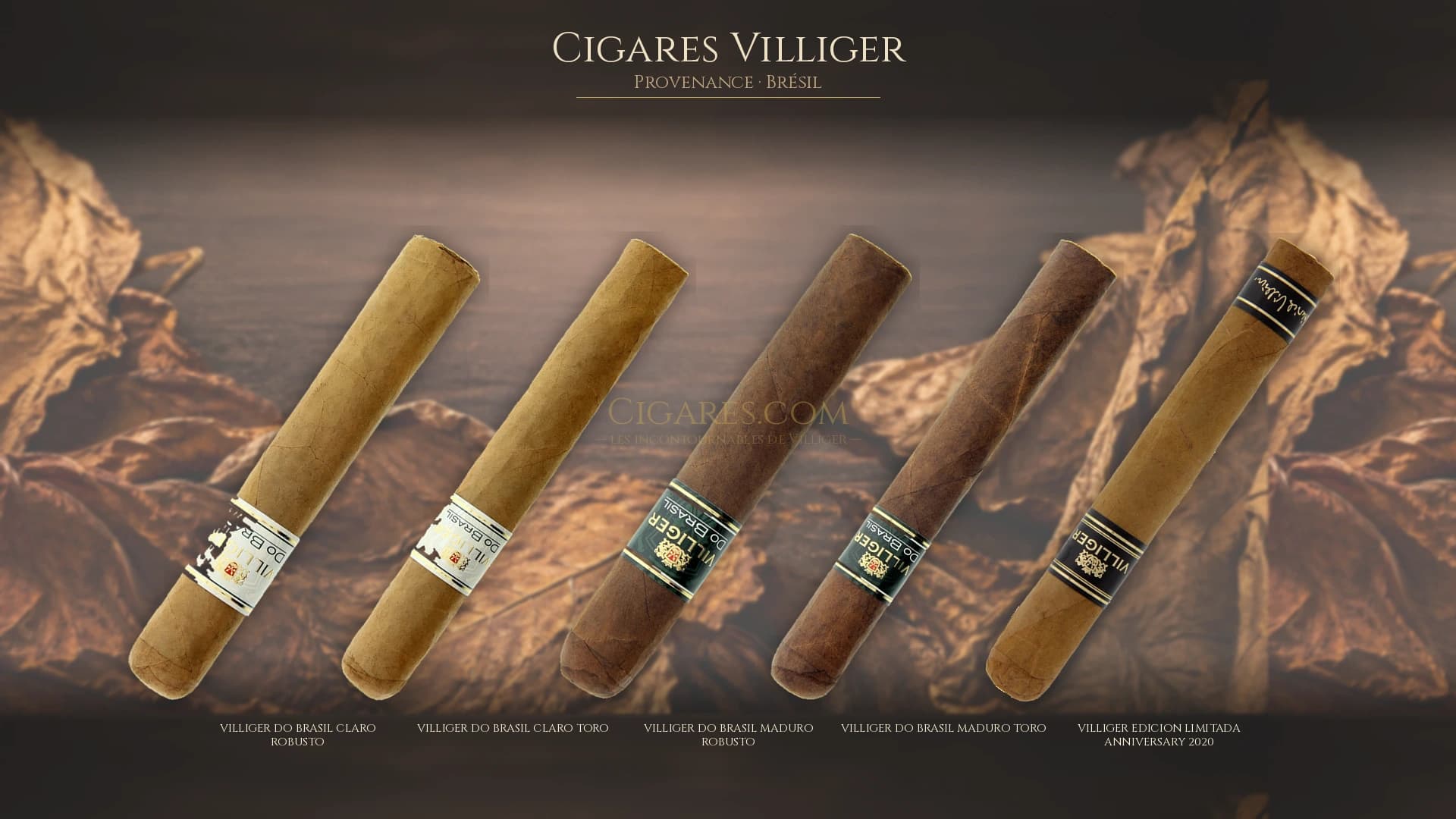 Top cigares Villiger Bresil — les plus populaires