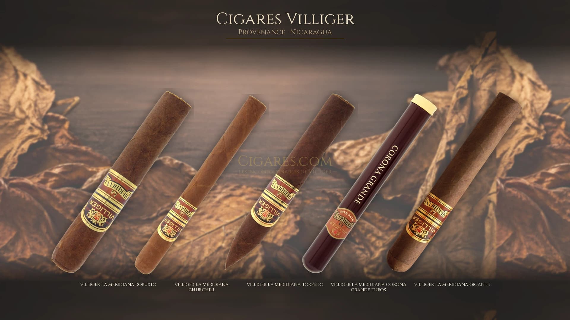 Top cigares Villiger Nicaragua — les plus populaires
