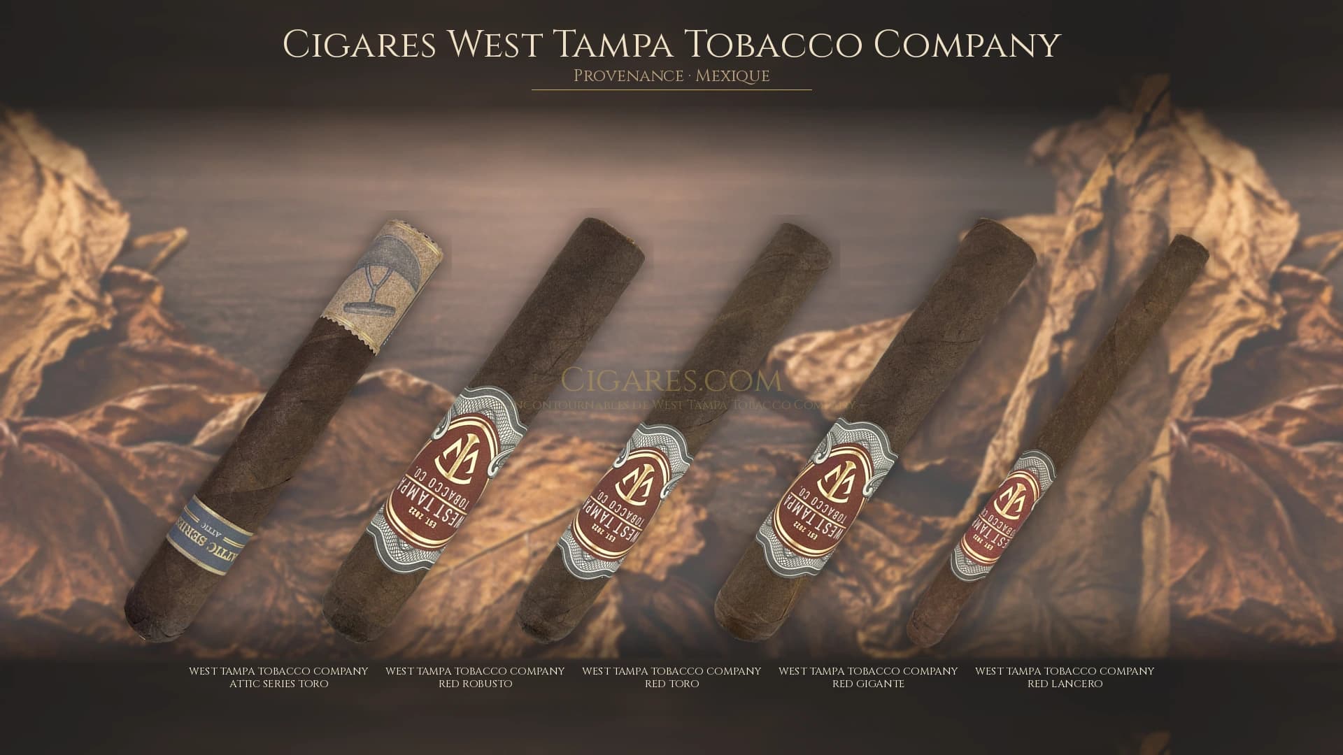 Top cigares West Tampa Tobacco Company Mexique — les plus populaires