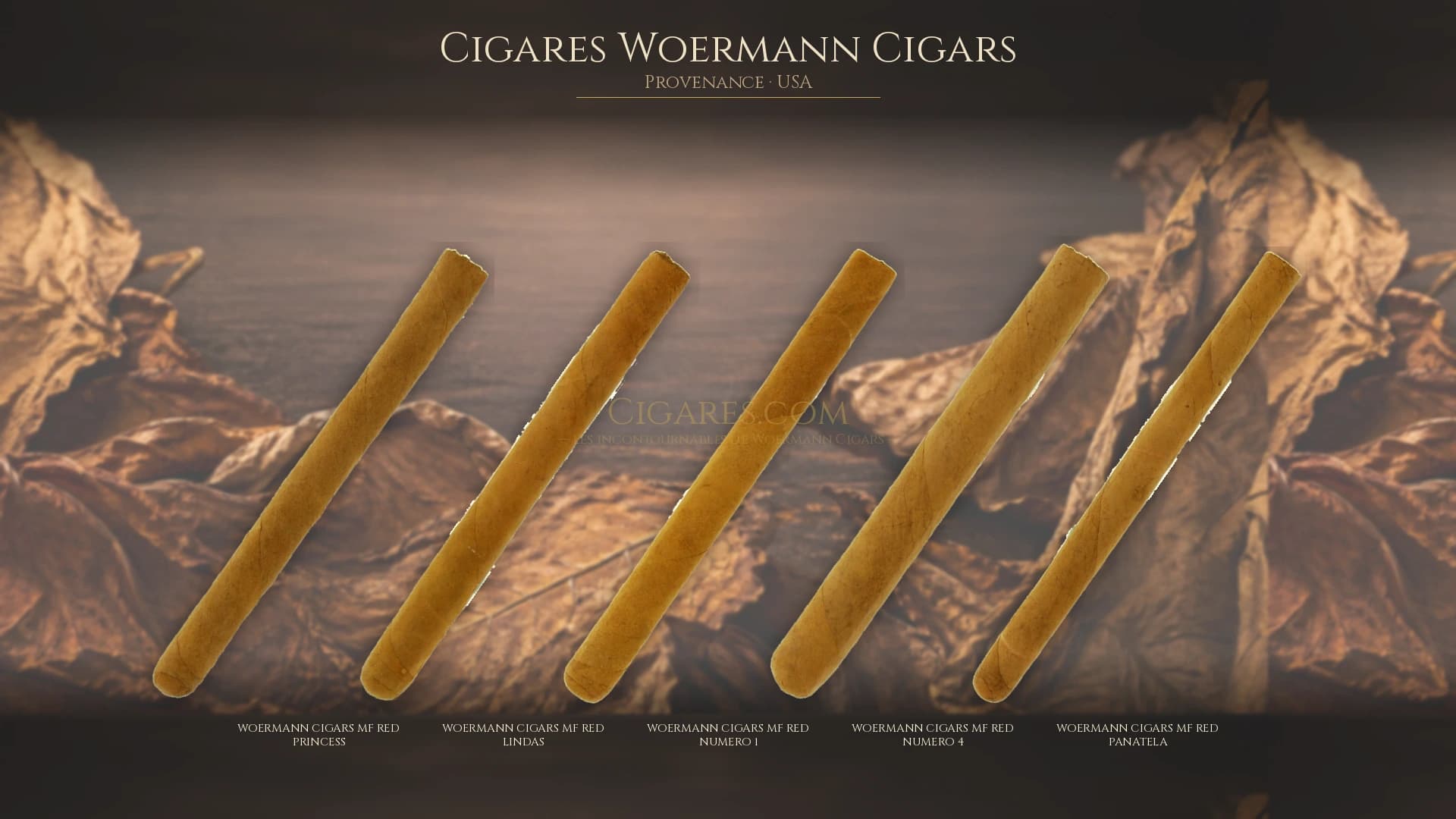 Top cigares Woermann Cigars Usa — les plus populaires
