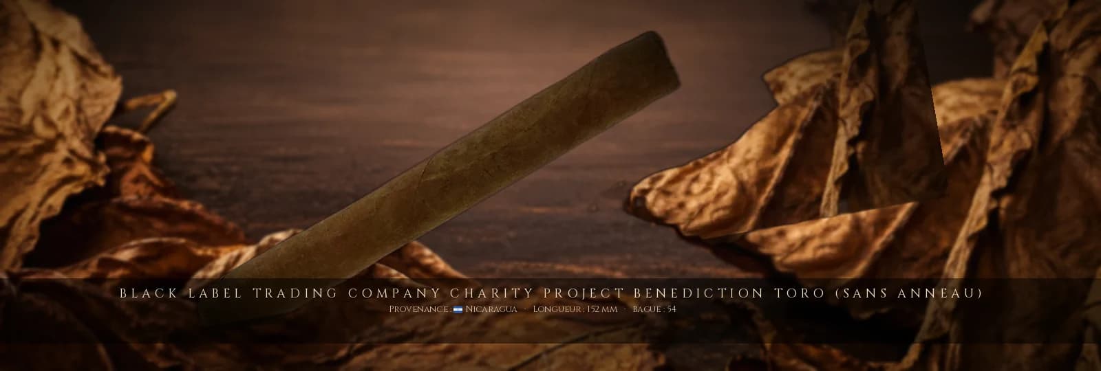 Black Label Trading Company Charity Project Benediction Toro (sans anneau) — Black Label Trading Company — Nicaragua