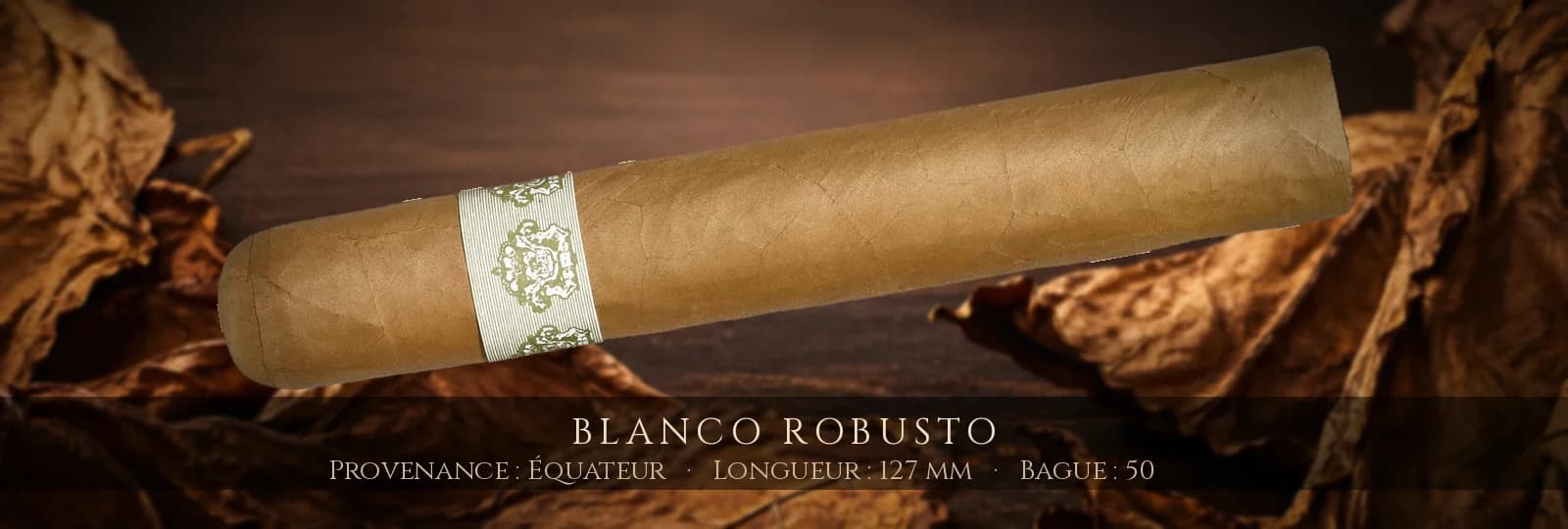 Blanco Robusto, cigare Blanco, Robusto, Honduras
