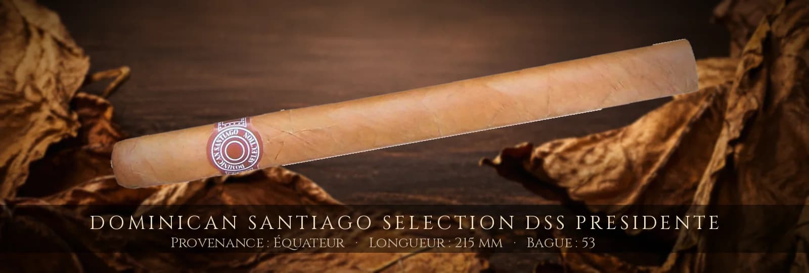 Dominican Santiago Selection DSS Presidente, cigare Dominican Santiago Selection, République Dominicaine