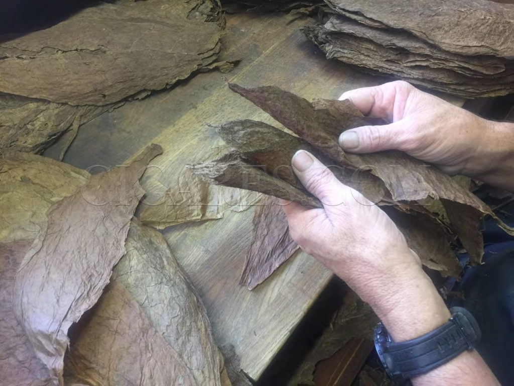 fabrication cigare