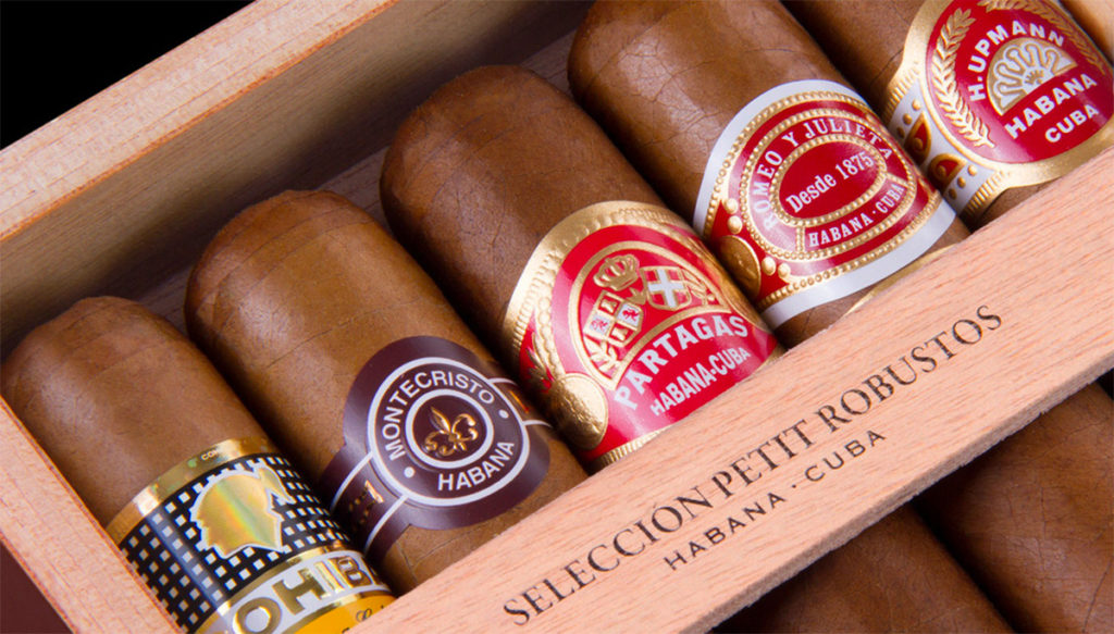 cigare petit robusto