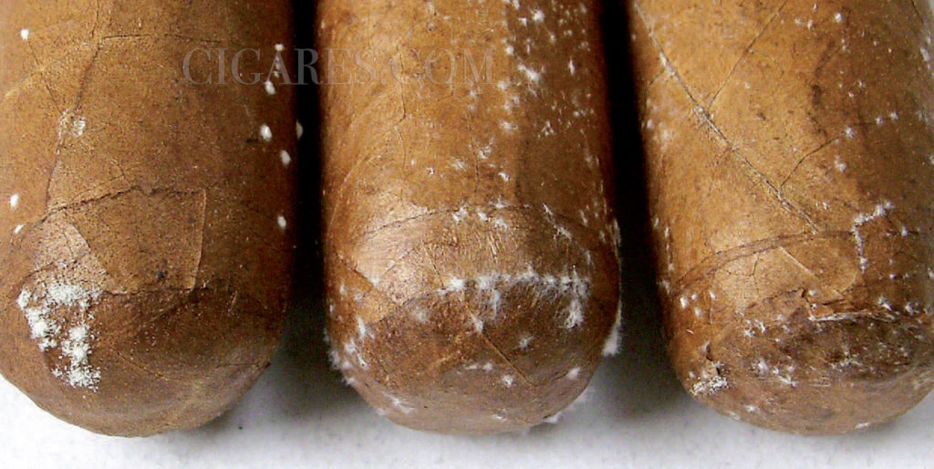 taches blanches cigares