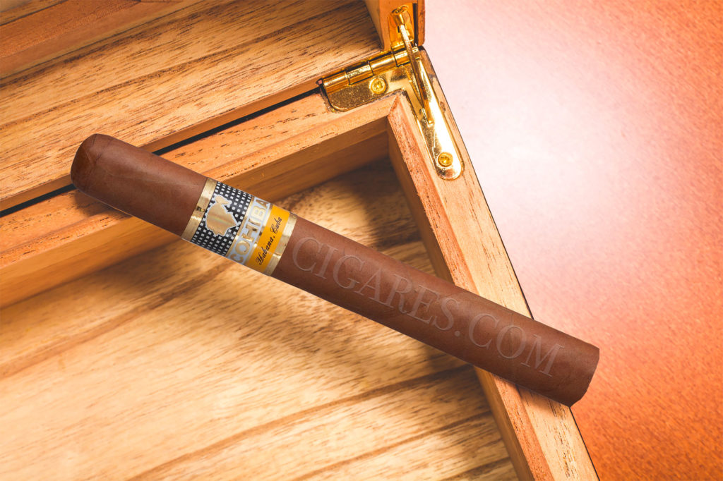 conserver cigare dans une cave
