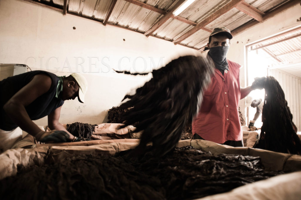 fabrication cigares
