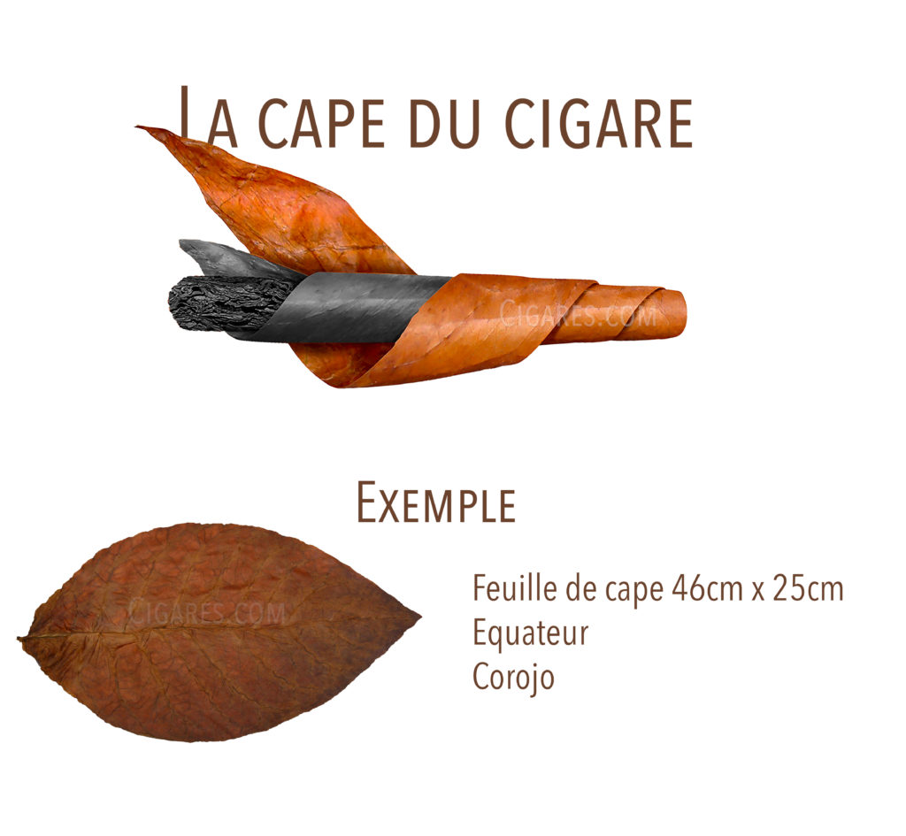 cape du cigare