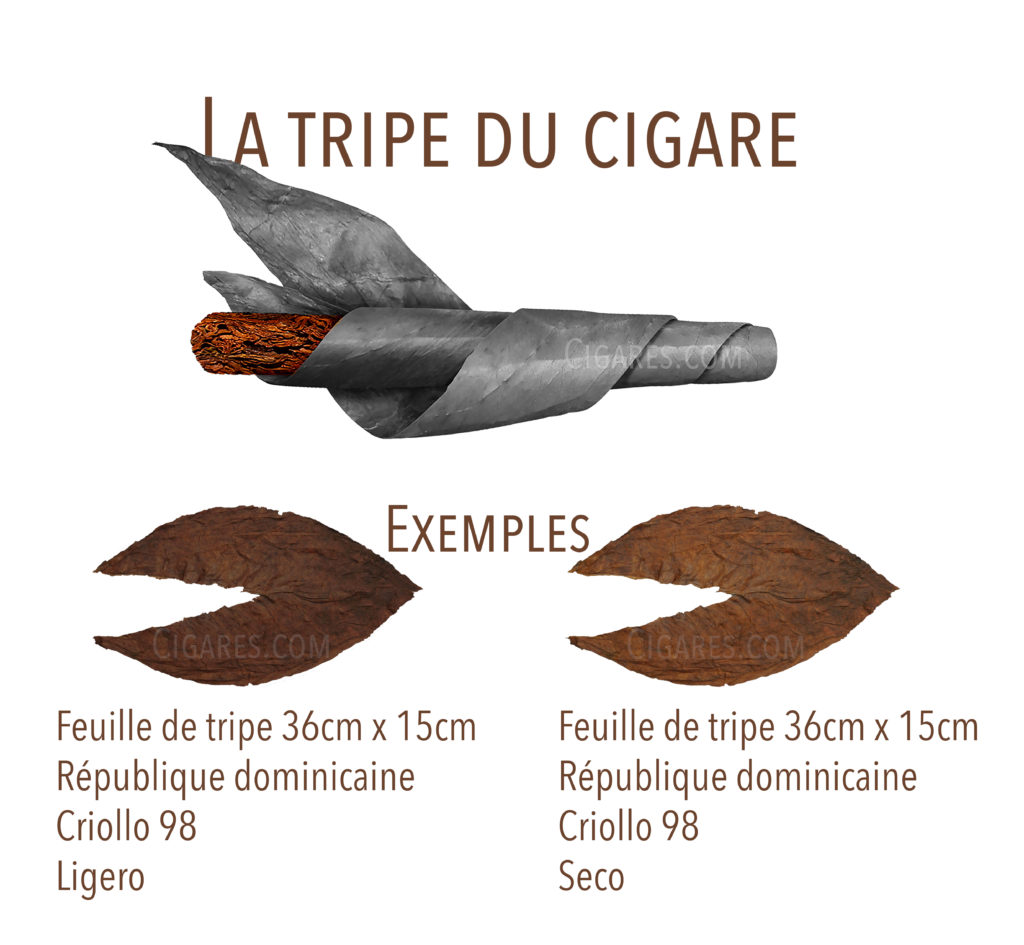 tripe du cigare
