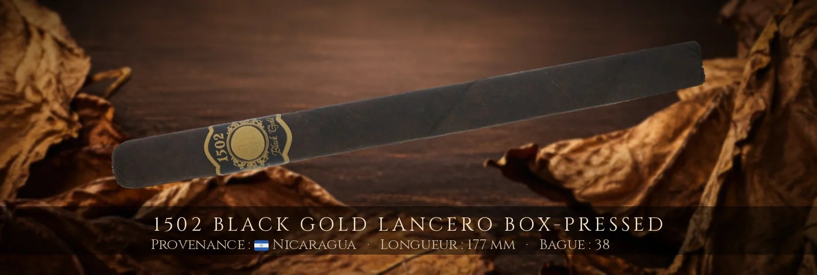 1502 Black Gold Lancero Box-Pressed — 1502 — Nicaragua
