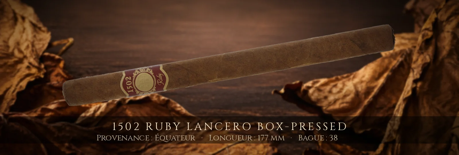 1502 Ruby Lancero Box-Pressed — 1502 — Équateur