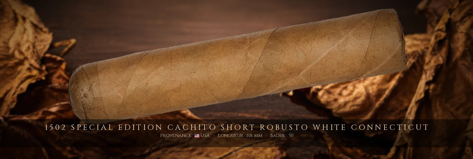 1502 Special Edition Cachito Short Robusto White Connecticut — 1502 — USA
