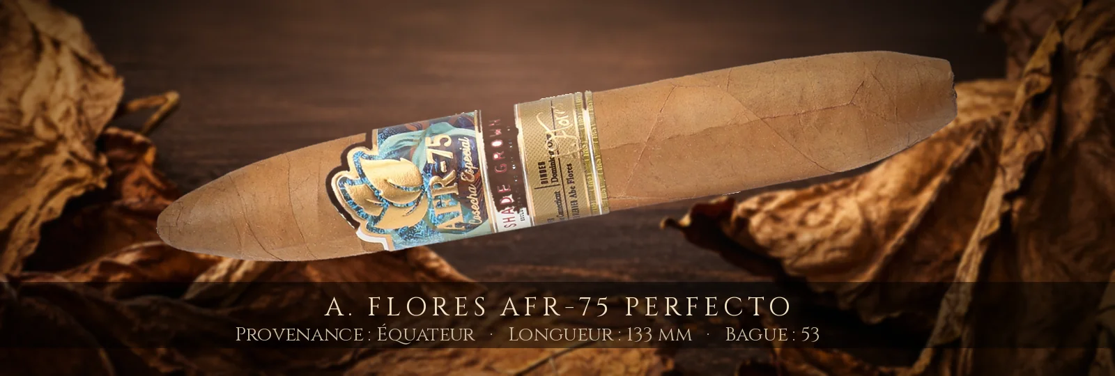 A. Flores AFR-75 Perfecto — A. Flores — Équateur