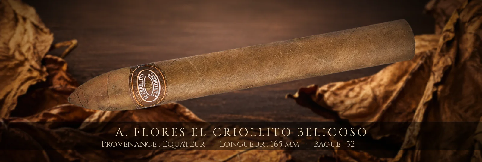 A. Flores El Criollito Belicoso — A. Flores — Équateur
