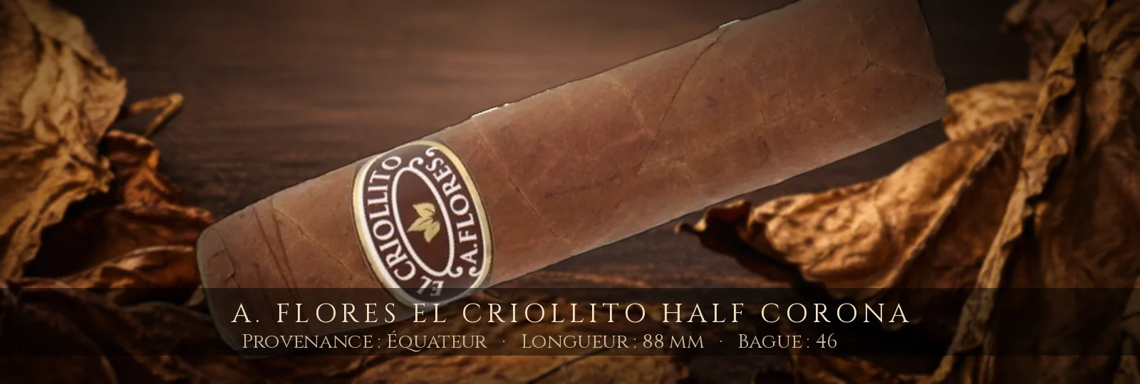 A. Flores El Criollito Half Corona — A. Flores — Équateur