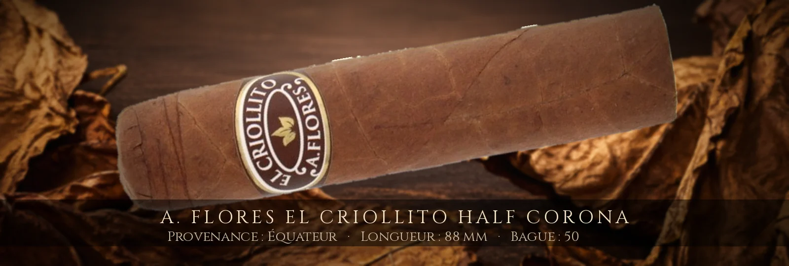 A. Flores El Criollito Half Corona — A. Flores — Équateur