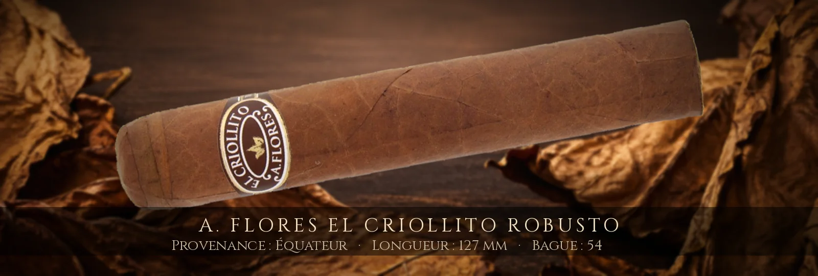 A. Flores El Criollito Robusto — A. Flores — Équateur