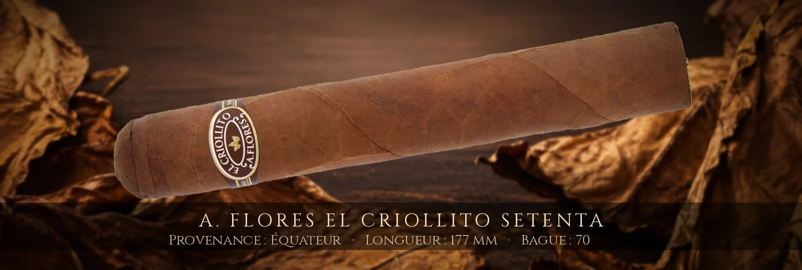 A. Flores El Criollito Setenta — A. Flores — Équateur