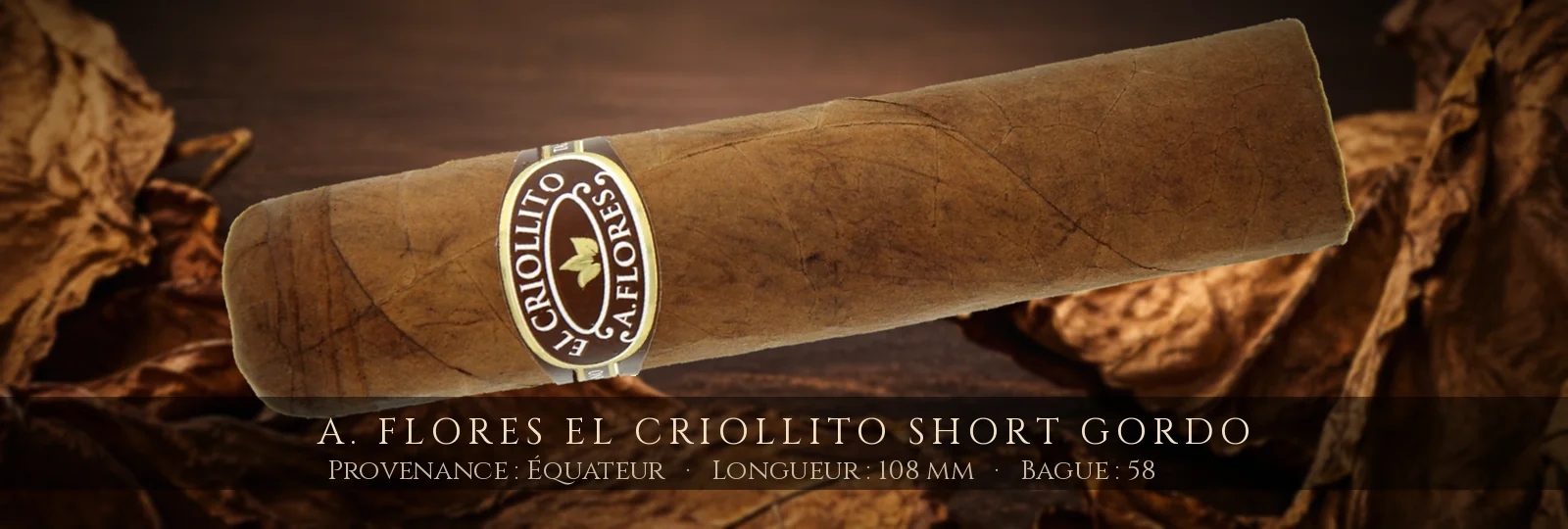 A. Flores El Criollito Short Gordo — A. Flores — Équateur