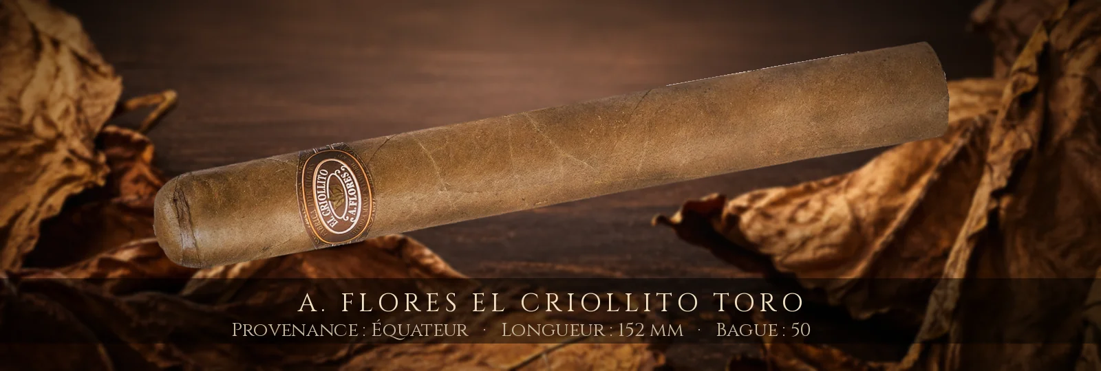 A. Flores El Criollito Toro — A. Flores — Équateur