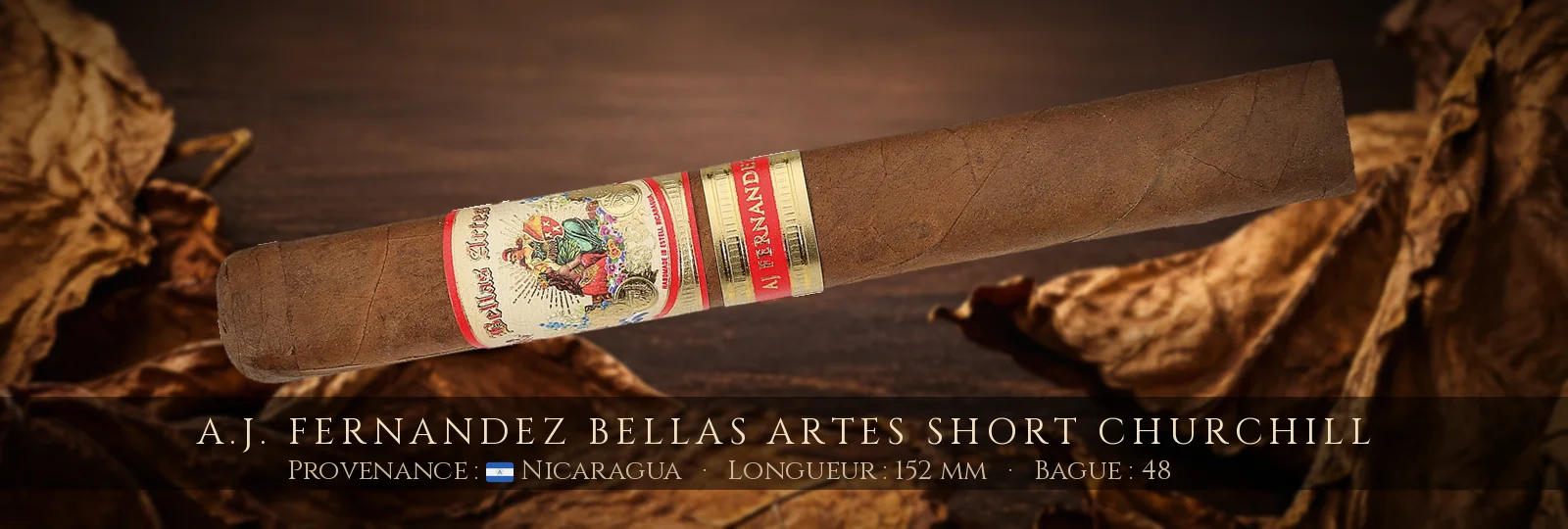 A.J. Fernandez Bellas Artes Short Churchill — A.J. Fernandez — Nicaragua