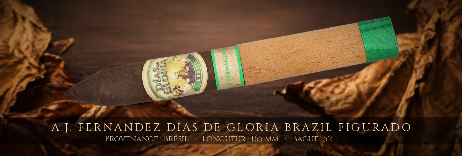 A.J. Fernandez Dias de Gloria Brazil Figurado — A.J. Fernandez — Brésil